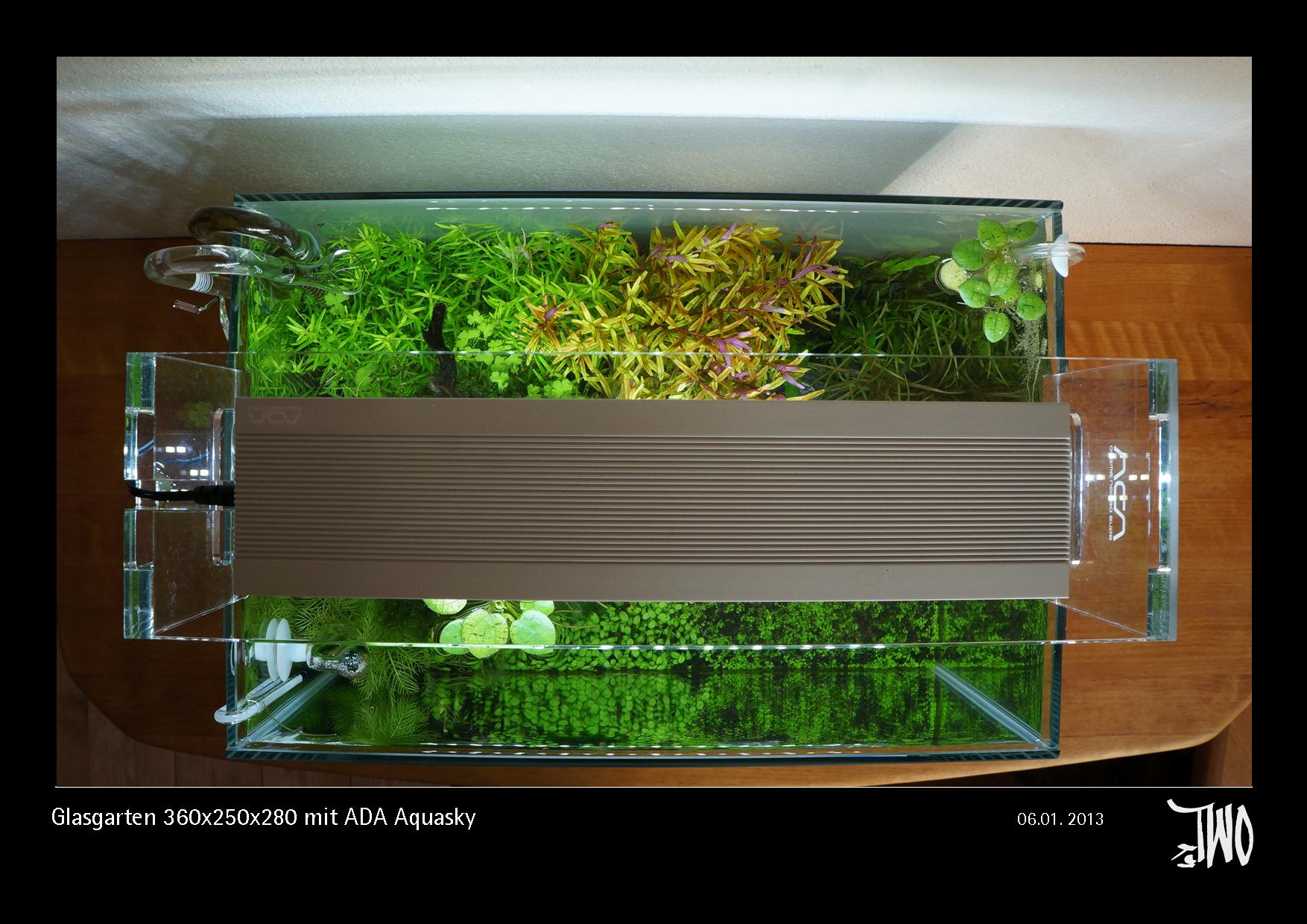 Glasgarten 360x250x280 mit ADA Aquasky Bild 04