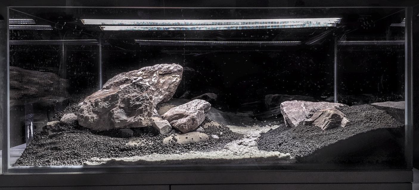 hardscape