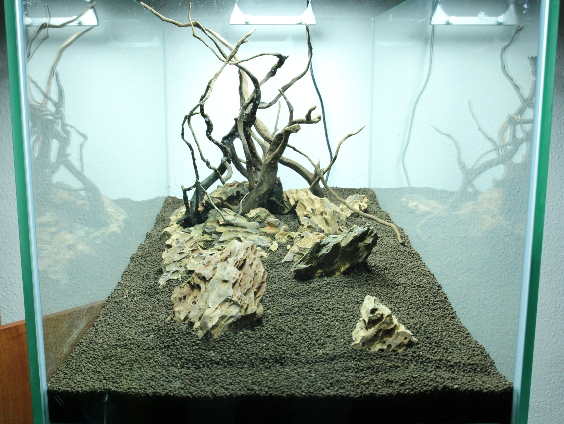 Hardscape3