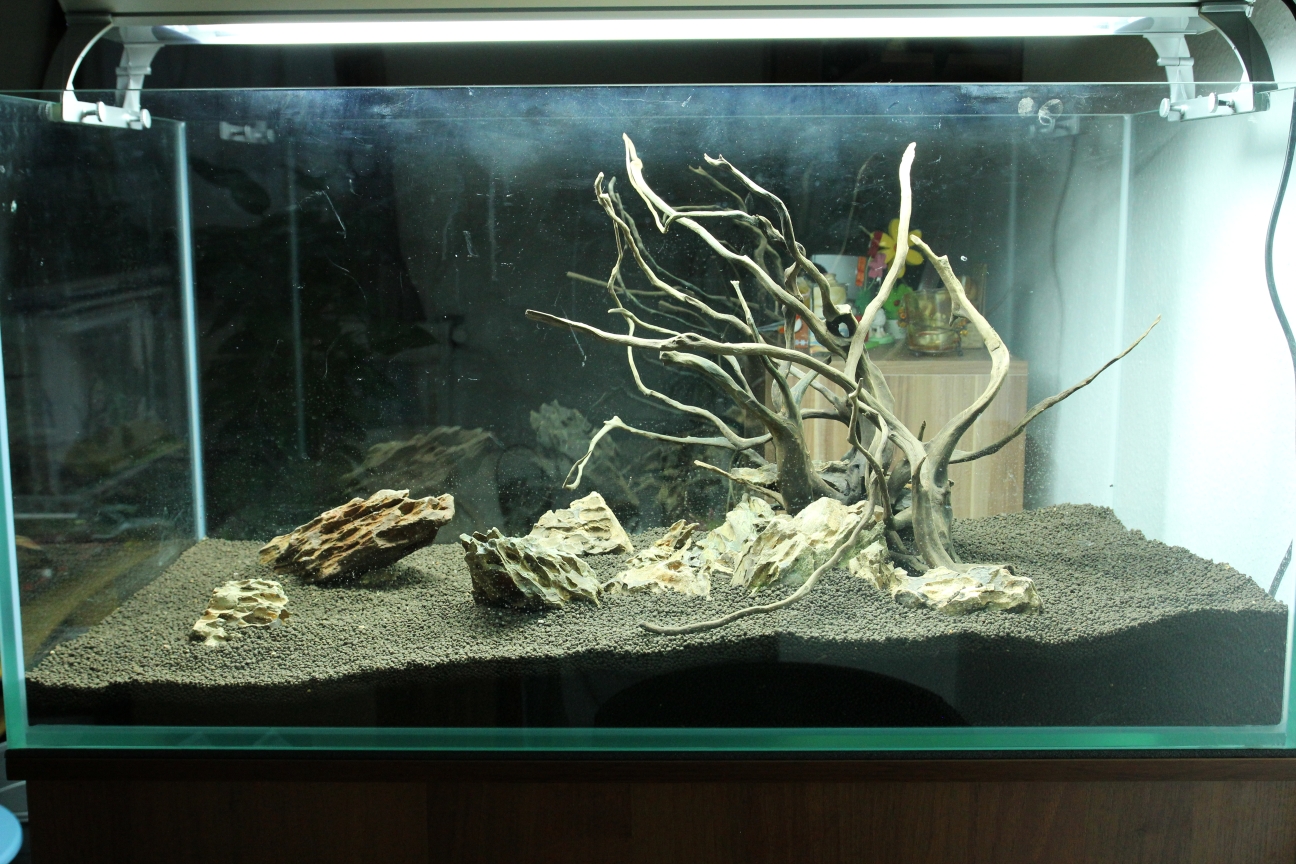 Hardscape4