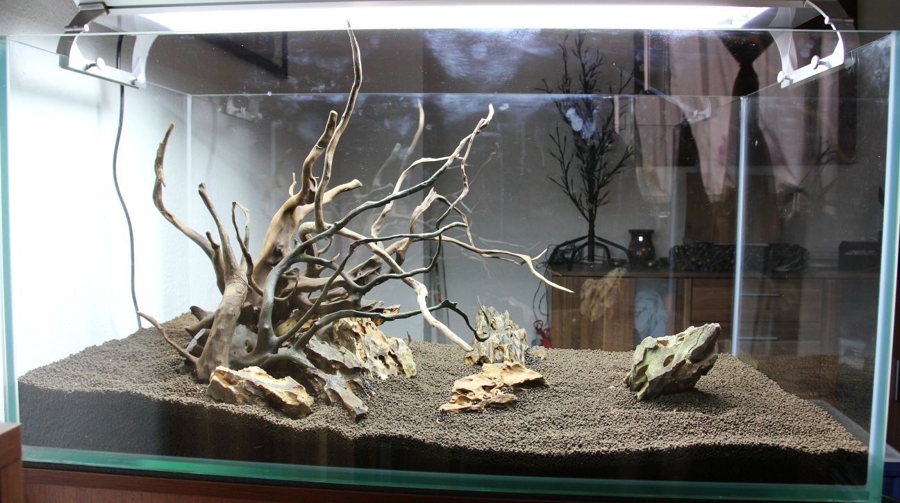 Hardscape5