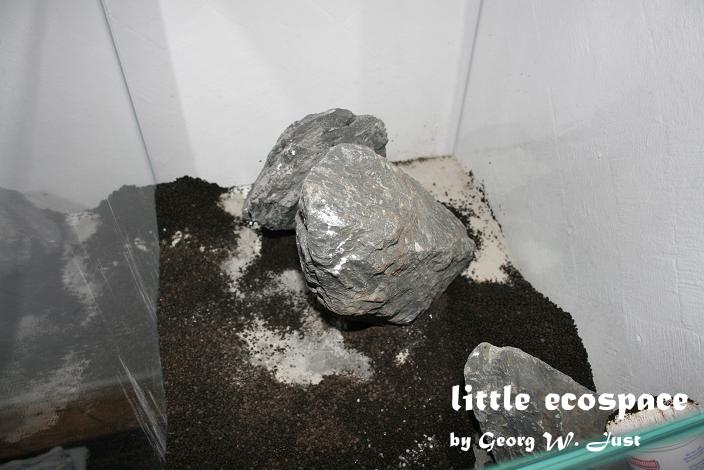 littleecospace003