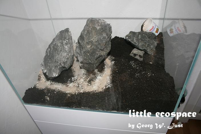 littleecospace005