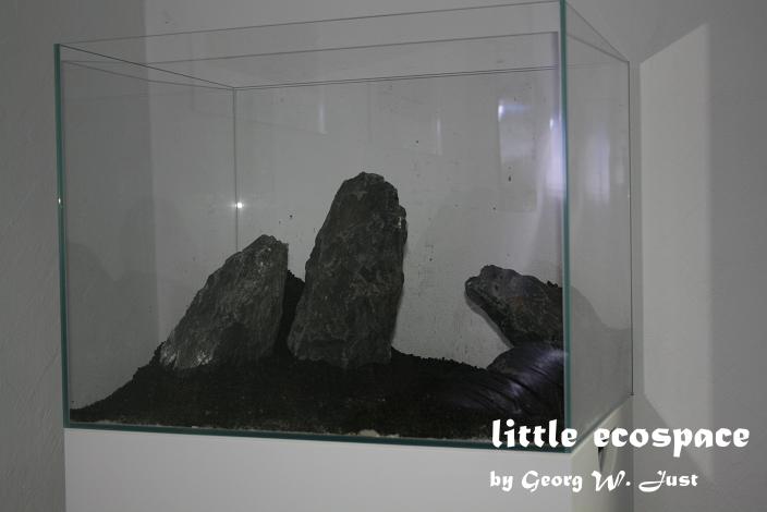 littleecospace009