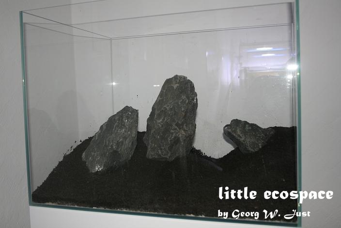 littleecospace011