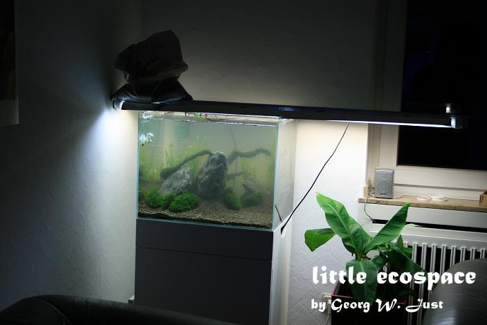 littleecospace015