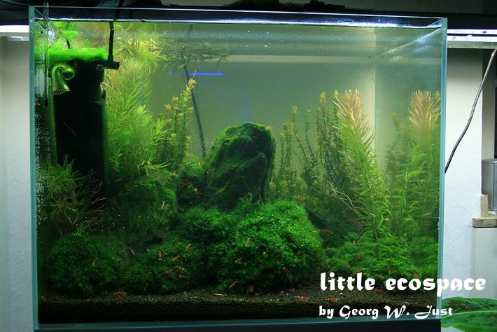 littleecospace016