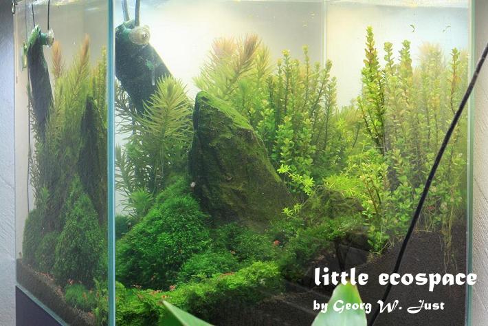 littleecospace017