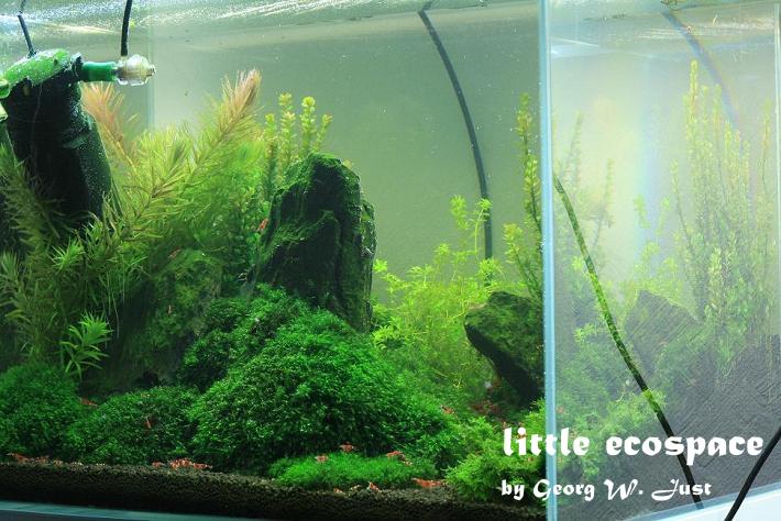 littleecospace019