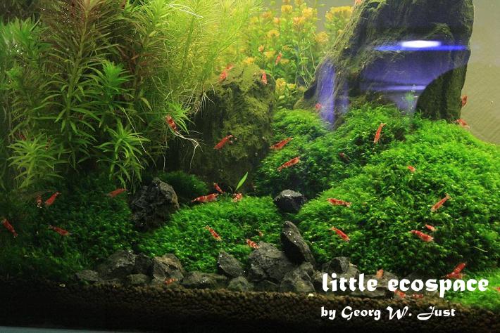 littleecospace022