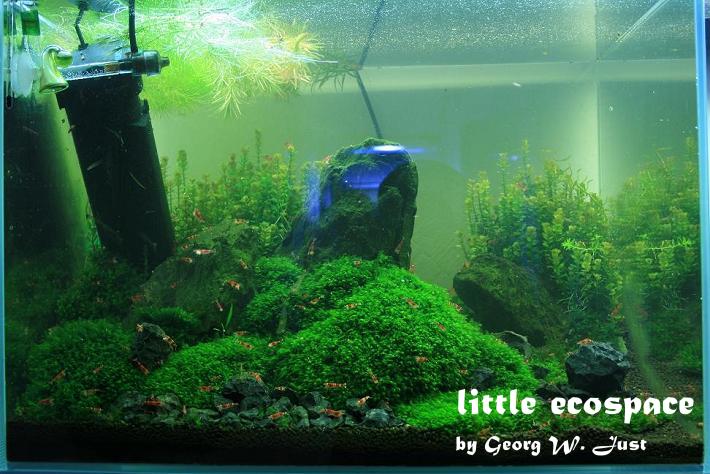 littleecospace029