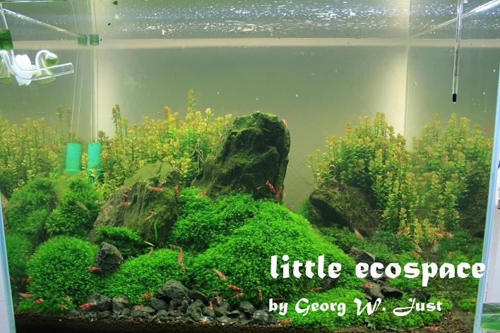 littleecospace032