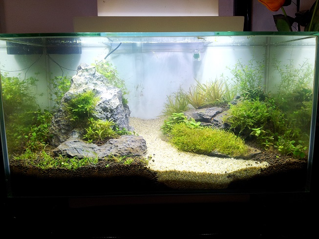 Marions Fluval I