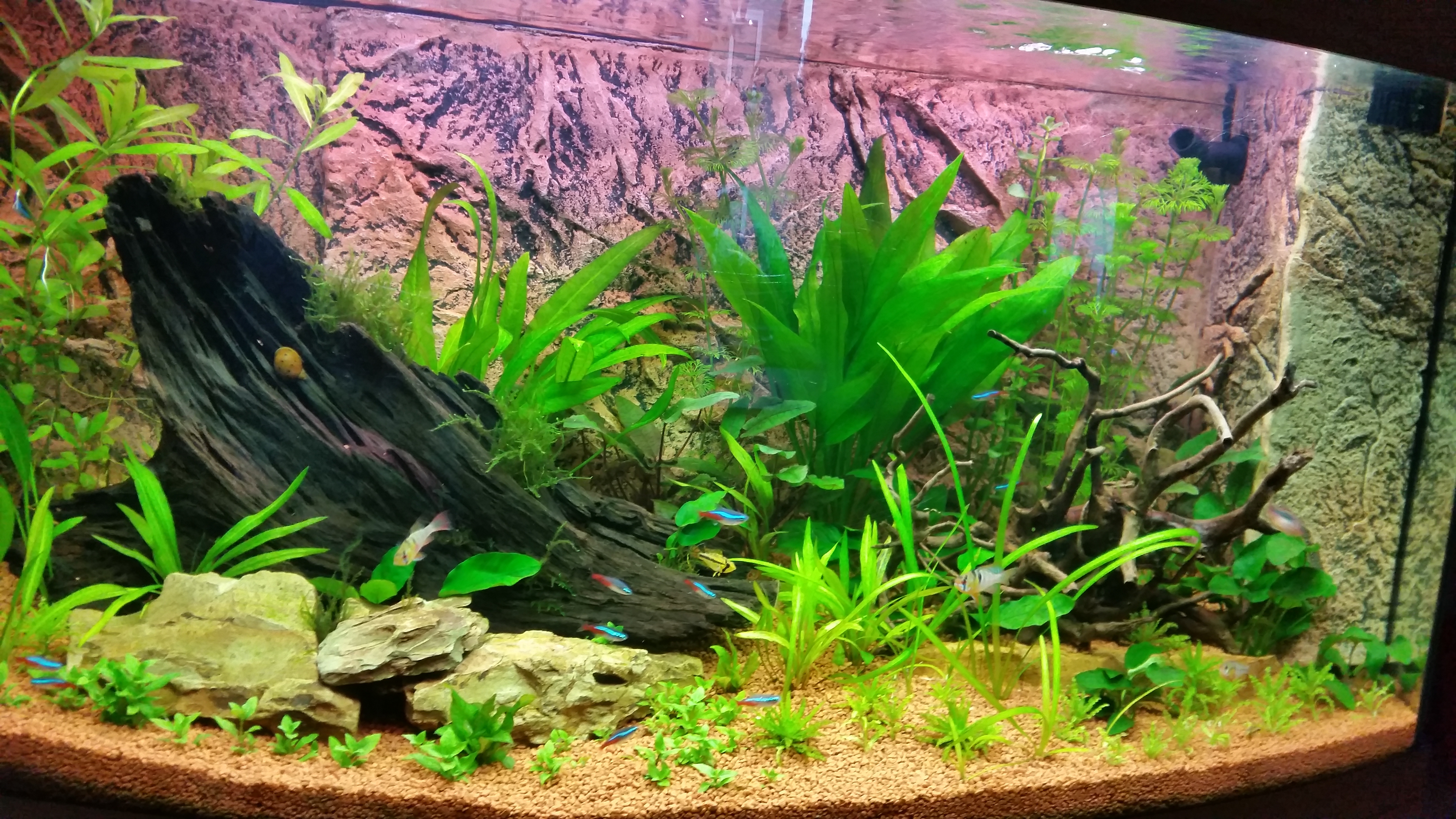 Mein Aquarium Vision 180 Juwel