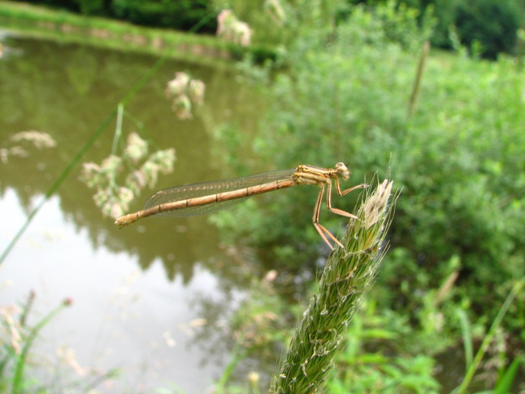 Naturbilder