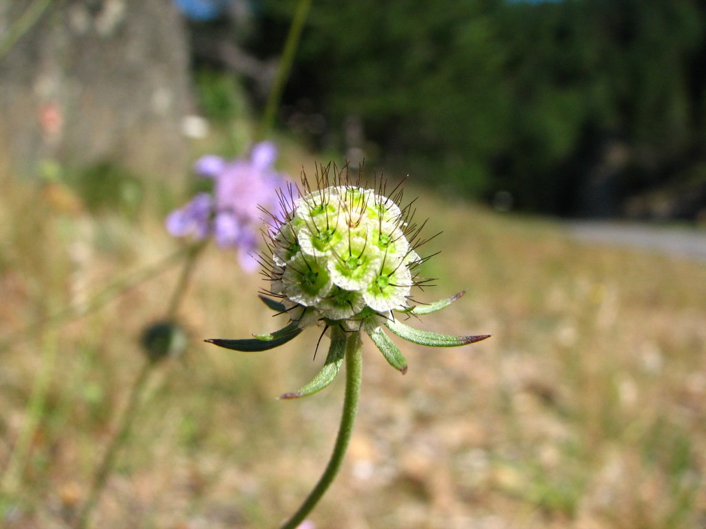 Naturbilder