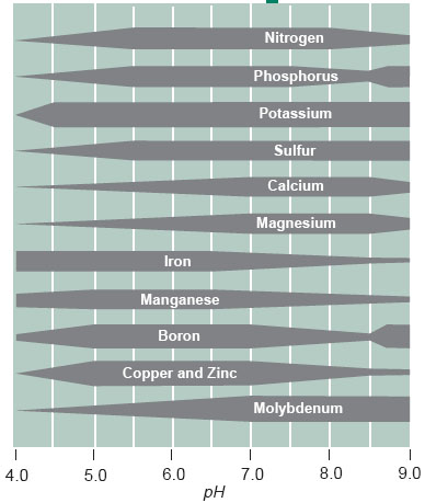 Nutrientavailability Ph