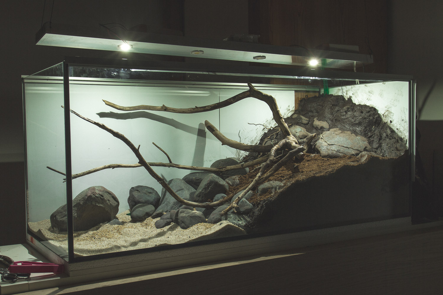 Paludarium alt