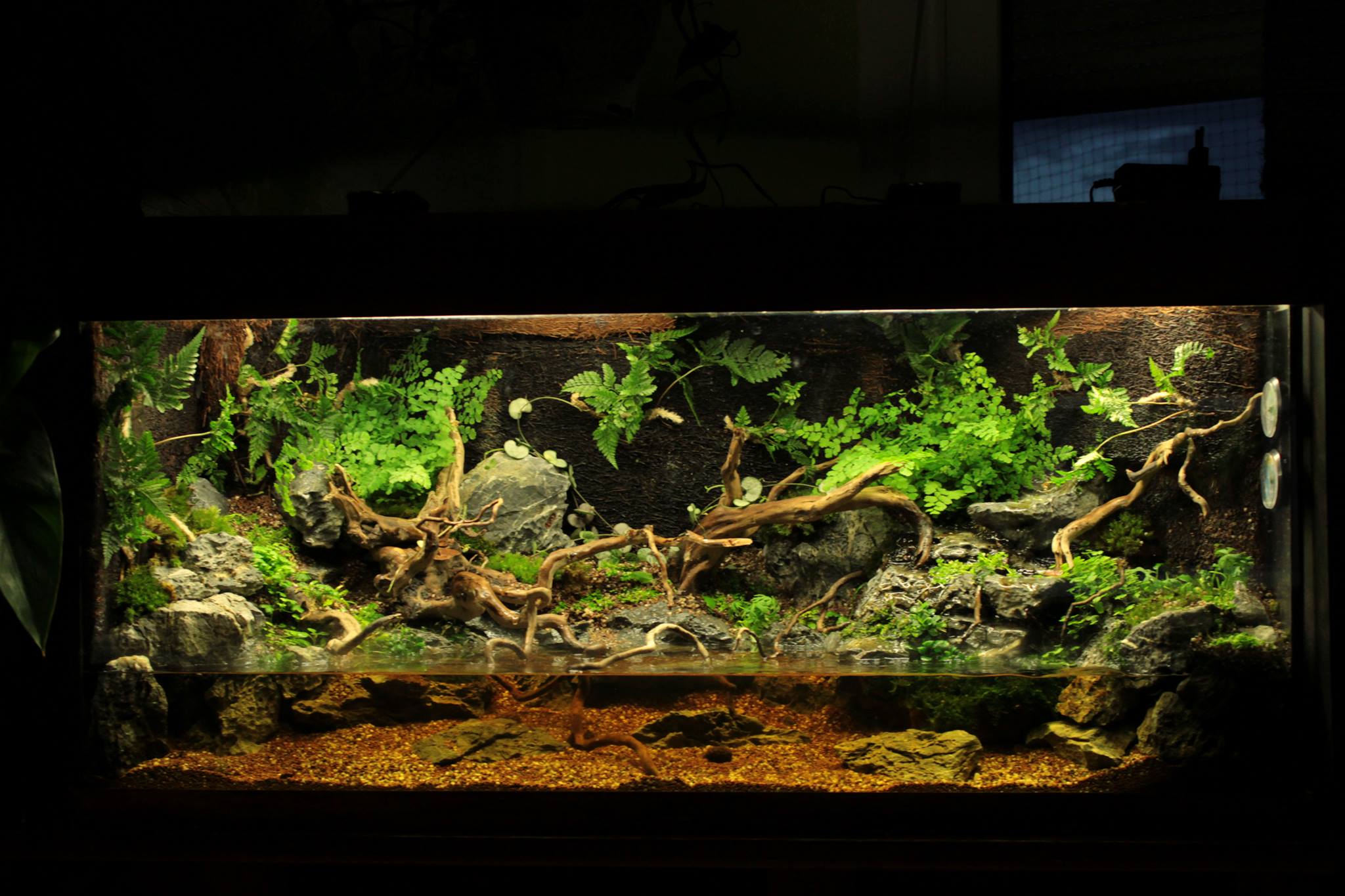 Paludarium