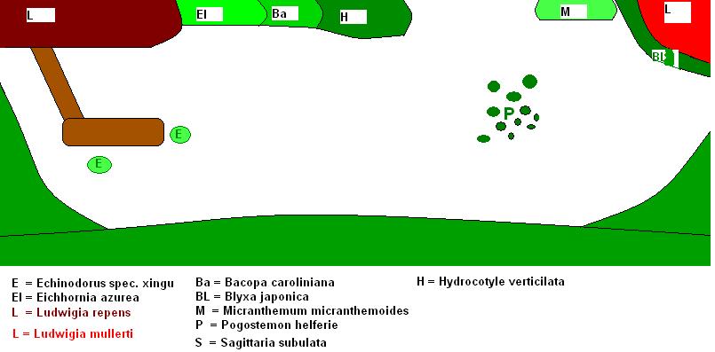 Pflanzplan