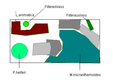 Pflanzplan