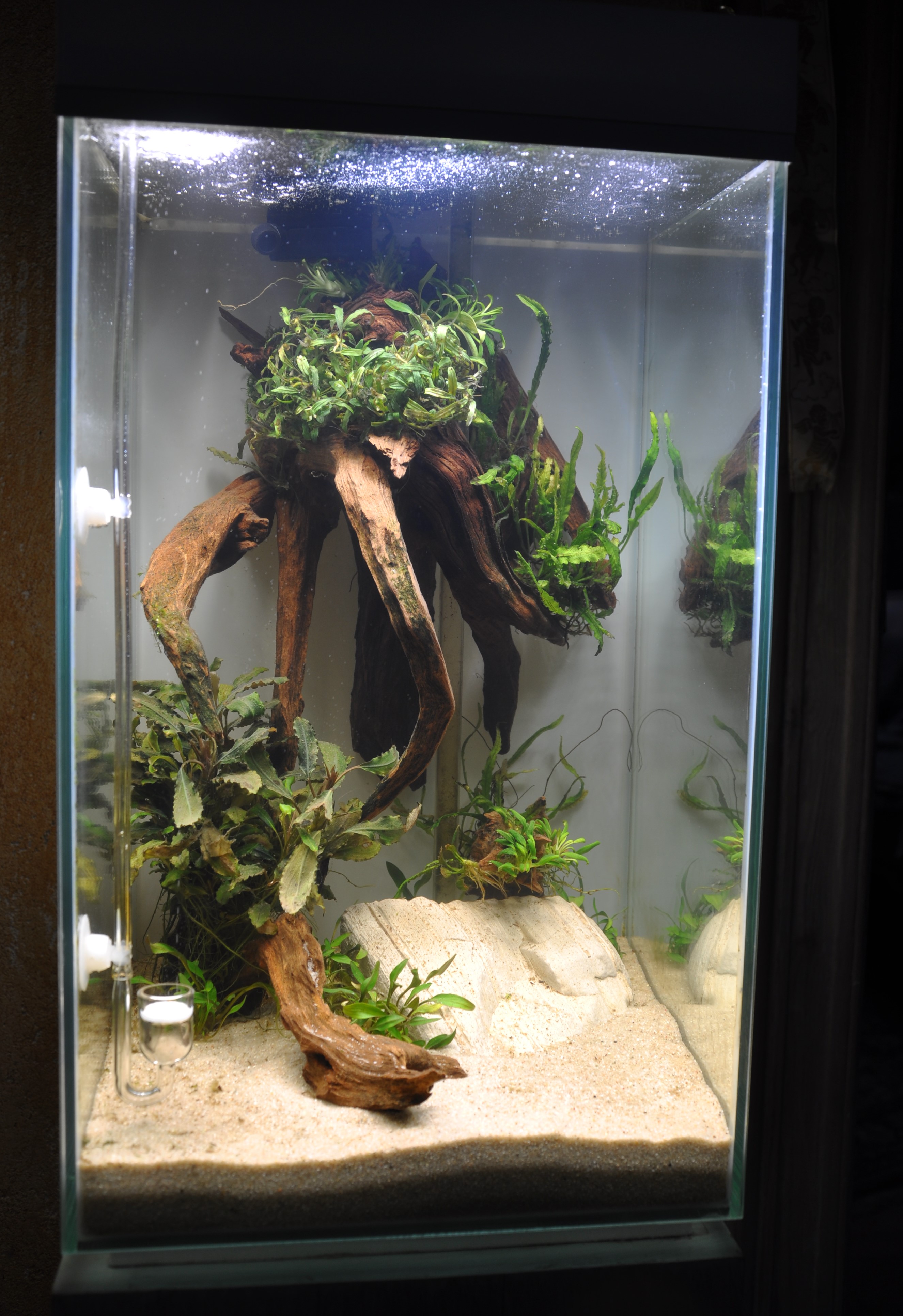 Rescape I