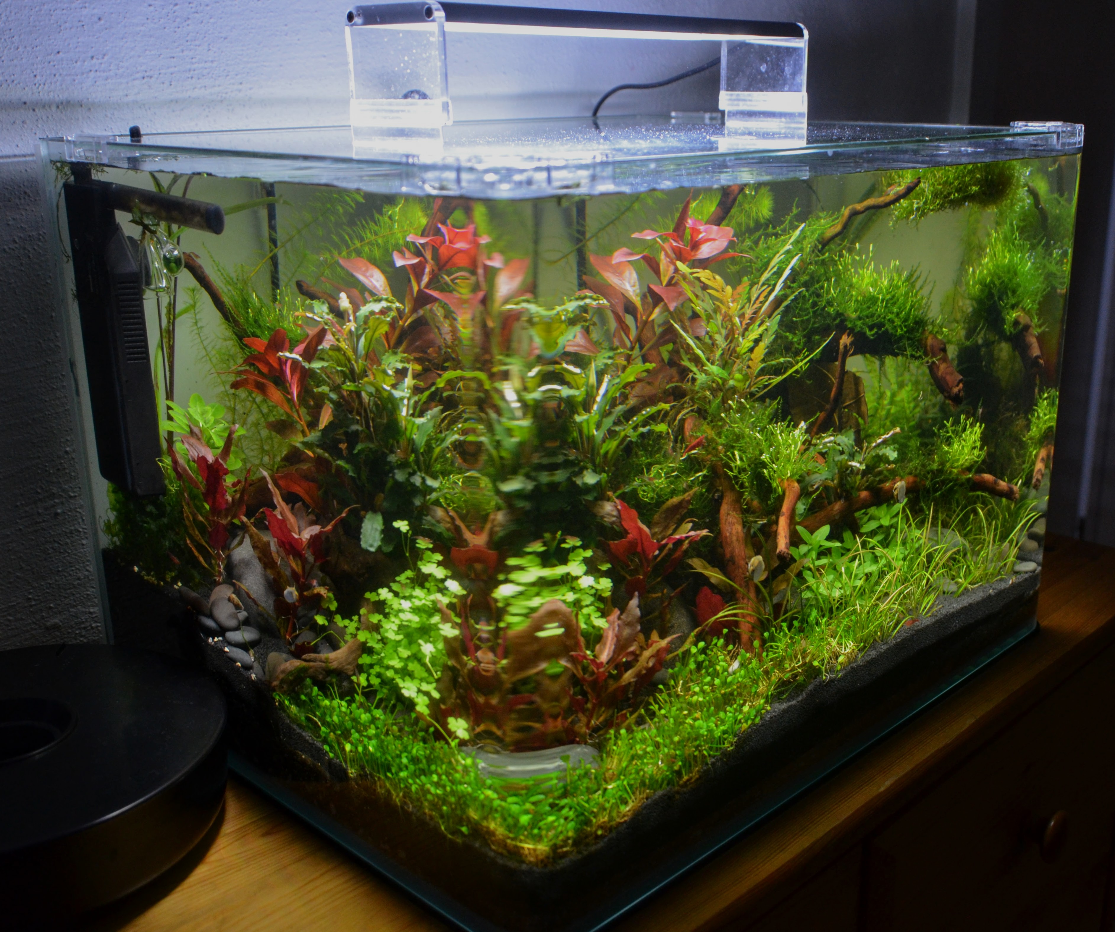 Scapers Tank 50l Okt 2016 Seite