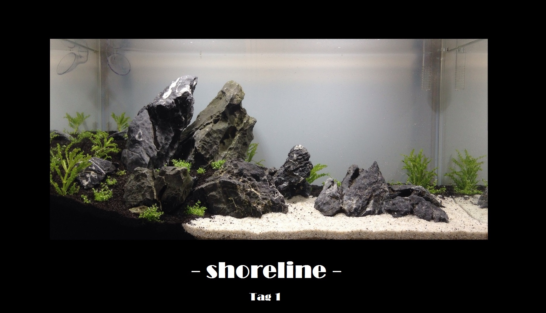 Tag 1 - shoreline