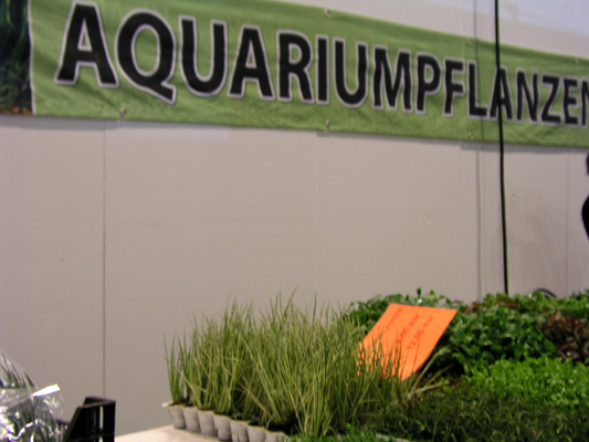 Zierfische &amp; Aquarium Messe 08