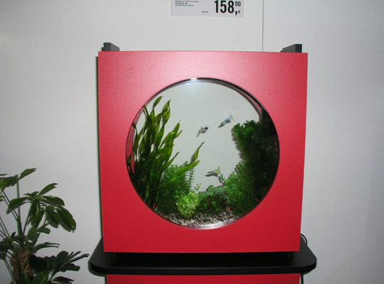 Zierfische &amp; Aquarium Messe 08